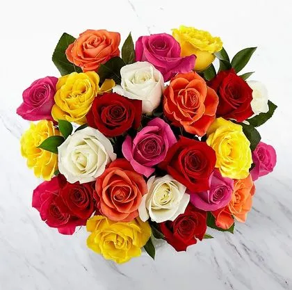 Τριαντάφυλλα 40 - 50 εκ.  Διάφορα Χρώματα
