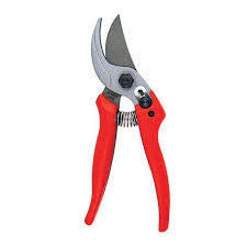Pruning Shears with Titanium coating