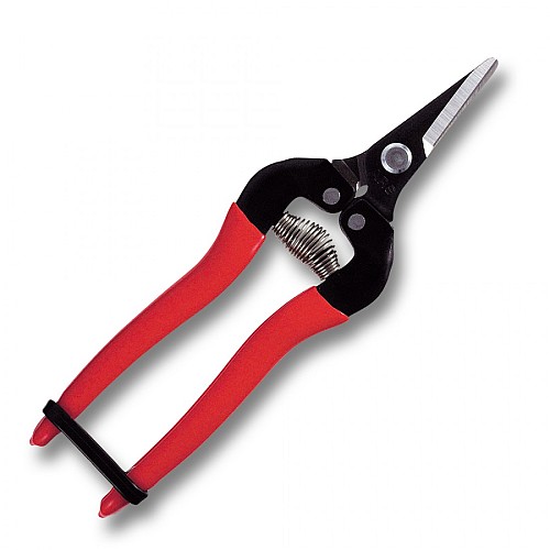 Grape Pruning Shears