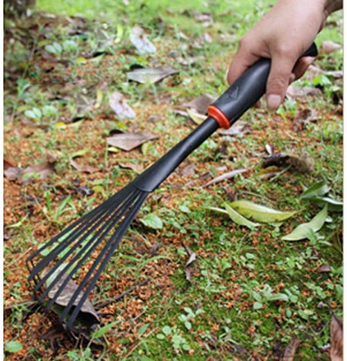 Small Lawn Rake