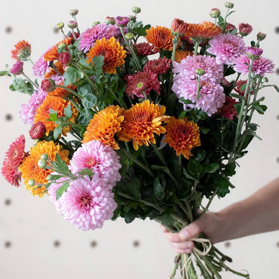 Chrysanthemums